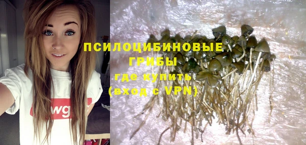 MESCALINE Богородицк