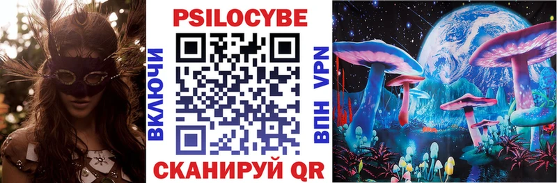 Псилоцибиновые грибы Psilocybe Велиж